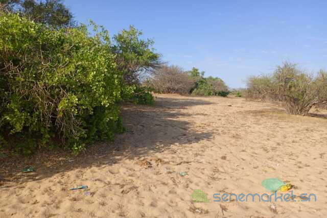 391-ha-a-diama-vers-saint-louis-enbordure-de-la-route-big-1