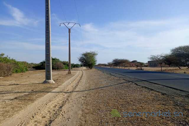 391-ha-a-diama-vers-saint-louis-enbordure-de-la-route-big-0