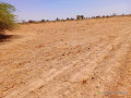 lemplacement-ideal-271-hectares-sur-piste-a-tassette-small-4