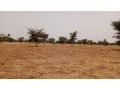 terrain-de-10400-metres-carres-a-vendre-a-simal-senegal-small-0