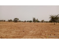 terrain-de-10400-metres-carres-a-vendre-a-simal-senegal-small-3