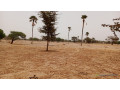 terrain-de-10400-metres-carres-a-vendre-a-simal-senegal-small-2