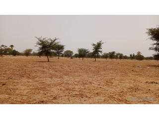 Terrain de 10400 mètres carrés à vendre à Simal Sénégal