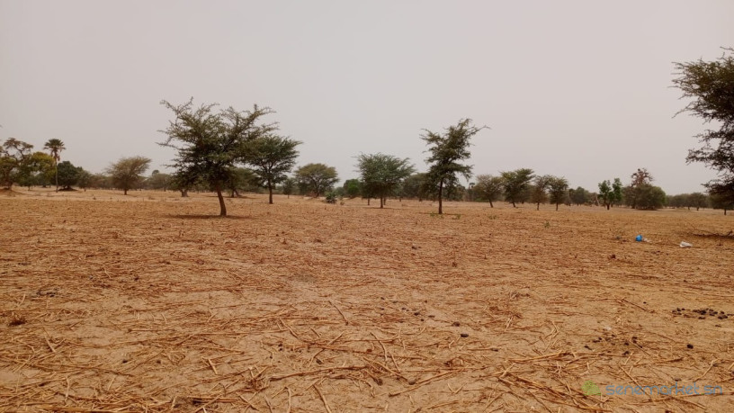 terrain-de-10400-metres-carres-a-vendre-a-simal-senegal-big-0