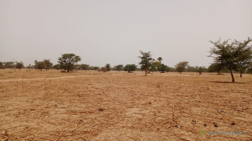 terrain-de-10400-metres-carres-a-vendre-a-simal-senegal-big-3