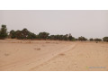 terrain-de-4600-metres-carres-a-vendre-a-simal-senegal-small-2