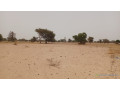 terrain-de-4600-metres-carres-a-vendre-a-simal-senegal-small-3