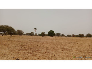 Terrain de 4600 mètres carrés à vendre à Simal Sénégal
