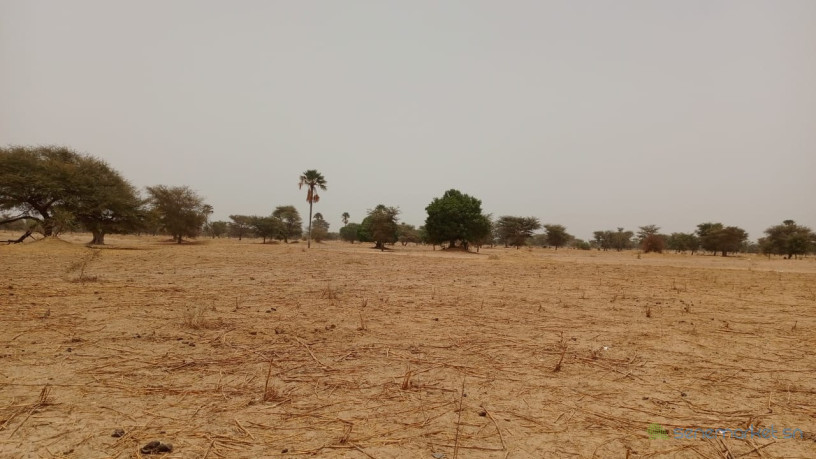 terrain-de-4600-metres-carres-a-vendre-a-simal-senegal-big-0