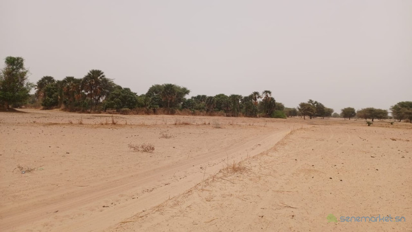 terrain-de-4600-metres-carres-a-vendre-a-simal-senegal-big-2