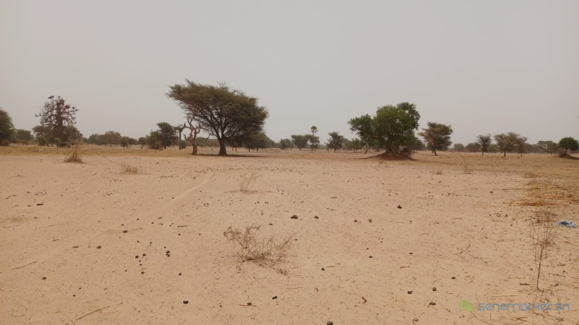 terrain-de-4600-metres-carres-a-vendre-a-simal-senegal-big-3