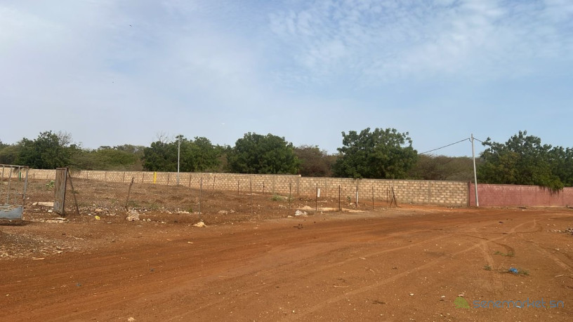 terrain-de-600-metres-carres-a-vendre-a-ngaparou-senegal-big-2