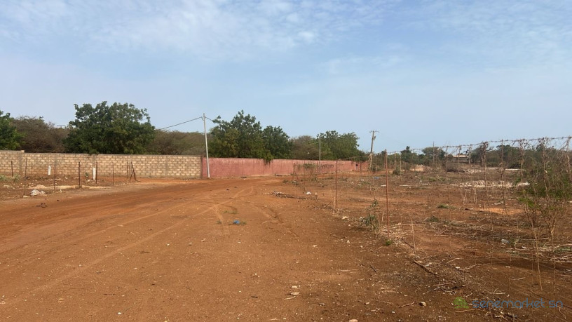 terrain-de-300-metres-carres-a-ngaparou-sn-big-2