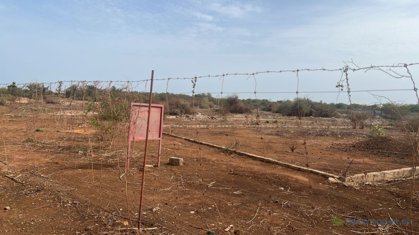 terrain-de-300-metres-carres-a-ngaparou-sn-big-0