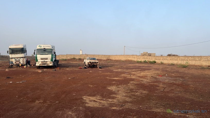 terrain-de-6000-metres-carres-a-vendre-a-gandigal-senegal-big-0