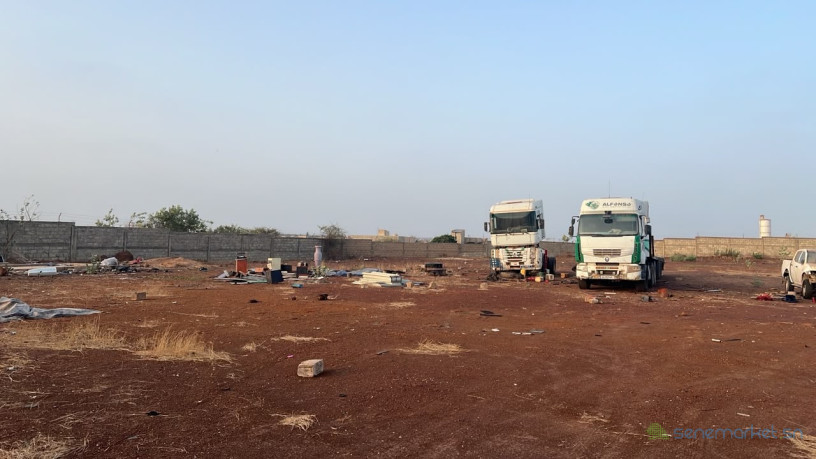 terrain-de-6000-metres-carres-a-vendre-a-gandigal-senegal-big-2