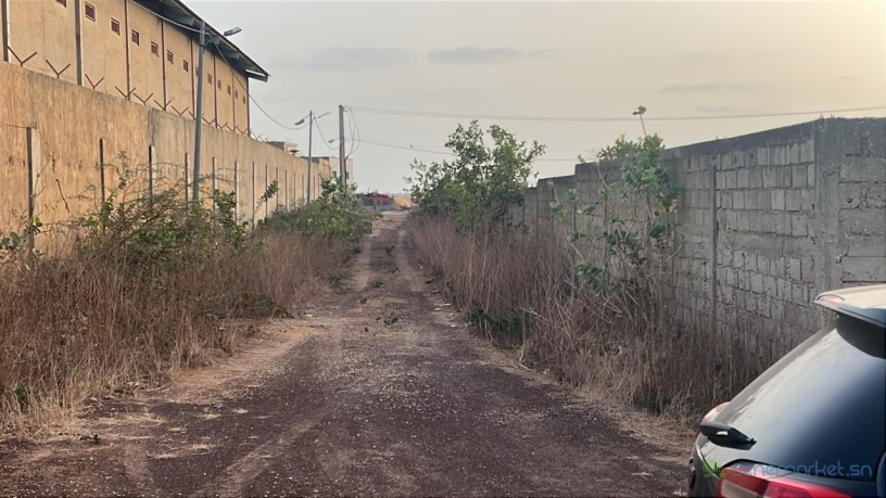 terrain-de-6000-metres-carres-a-vendre-a-gandigal-senegal-big-3