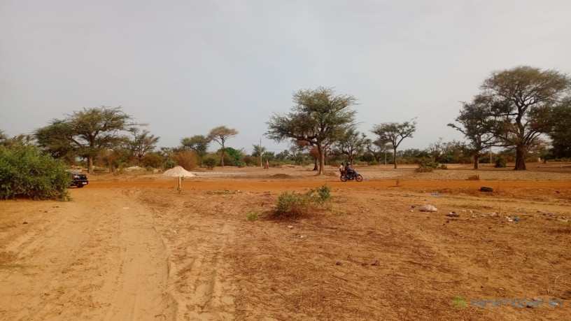 terrain-de-225-metres-carres-a-vendre-a-malicounda-sen-big-3