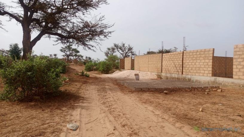 terrain-de-225-metres-carres-a-vendre-a-malicounda-sen-big-1