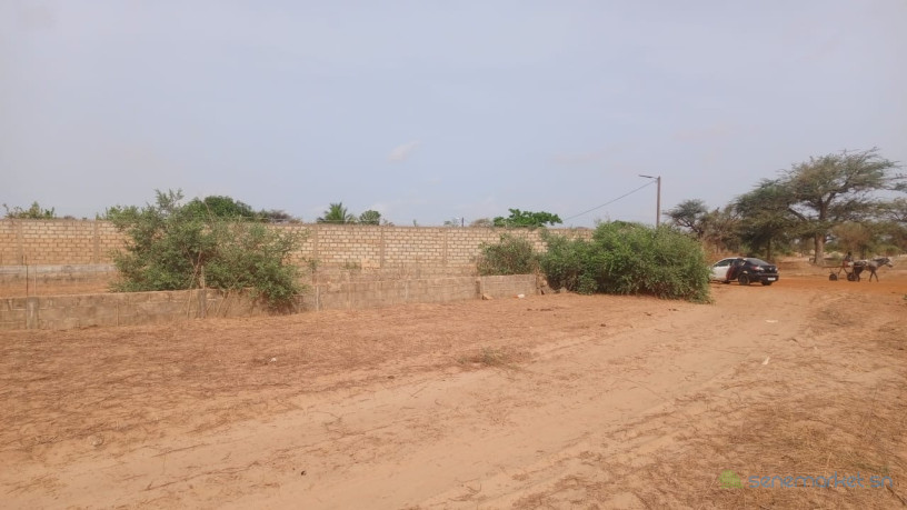 terrain-de-225-metres-carres-a-vendre-a-malicounda-sen-big-2
