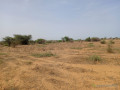 terrain-agricole-de-5-hectares-vers-diama-saint-louis-small-2