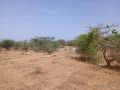 terrain-agricole-de-5-hectares-vers-diama-saint-louis-small-1