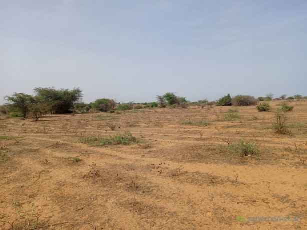 terrain-agricole-de-5-hectares-vers-diama-saint-louis-big-2