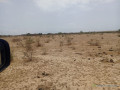 terrain-agricole-de-33-hectares-vers-diama-saint-louis-small-3