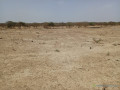 terrain-agricole-de-33-hectares-vers-diama-saint-louis-small-0