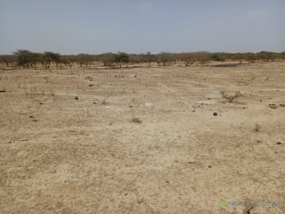 Terrain Agricole de 33 hectares vers Diama-Saint-Louis