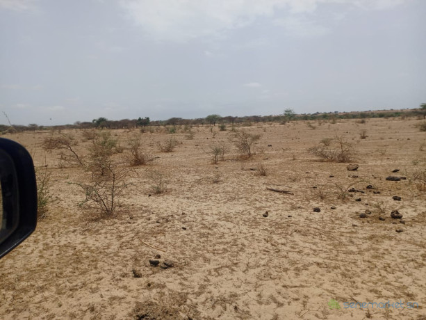 terrain-agricole-de-33-hectares-vers-diama-saint-louis-big-3