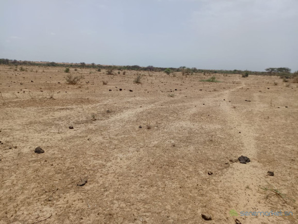 terrain-agricole-de-33-hectares-vers-diama-saint-louis-big-2