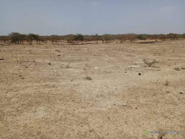 terrain-agricole-de-33-hectares-vers-diama-saint-louis-big-0
