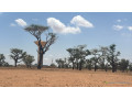 terrains-de-300m2-a-malicounda-takhoum-serere-small-0