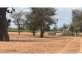 terrains-de-300m2-a-malicounda-takhoum-serere-small-3