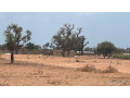 terrains-de-300m2-a-malicounda-takhoum-serere-small-2