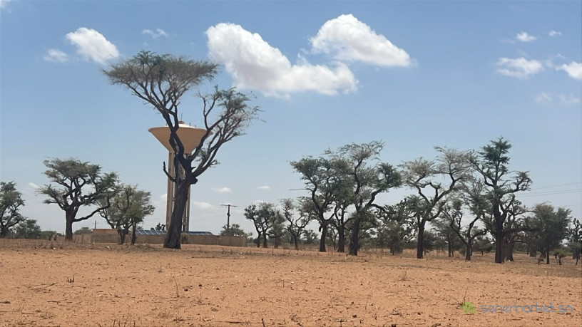 terrains-de-300m2-a-malicounda-takhoum-serere-big-0