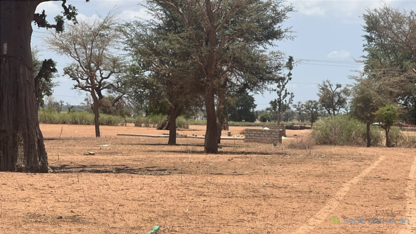 terrains-de-300m2-a-malicounda-takhoum-serere-big-3