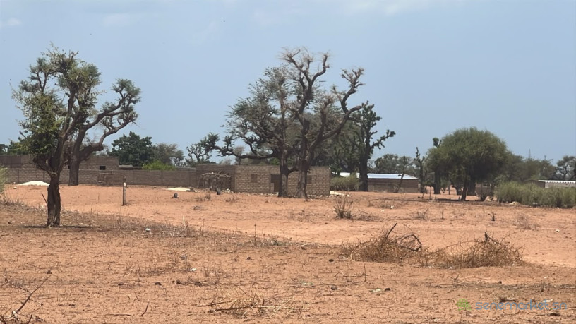 terrains-de-300m2-a-malicounda-takhoum-serere-big-2