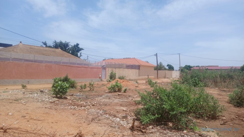 terrain-de-586-a-vendre-a-nguerigne-senegal-big-2
