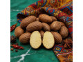 noix-de-petit-cola-small-1