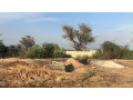 terrains-de-300m2-a-malicounda-small-0