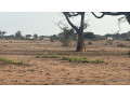 terrains-de-300m2-a-malicounda-small-2