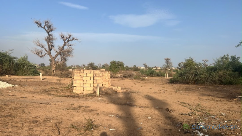 terrains-de-300m2-a-malicounda-big-1