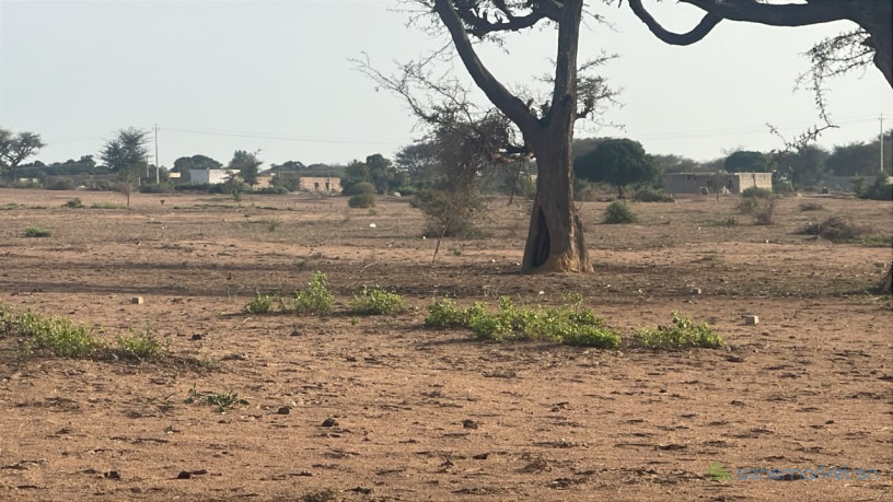 terrains-de-300m2-a-malicounda-big-2