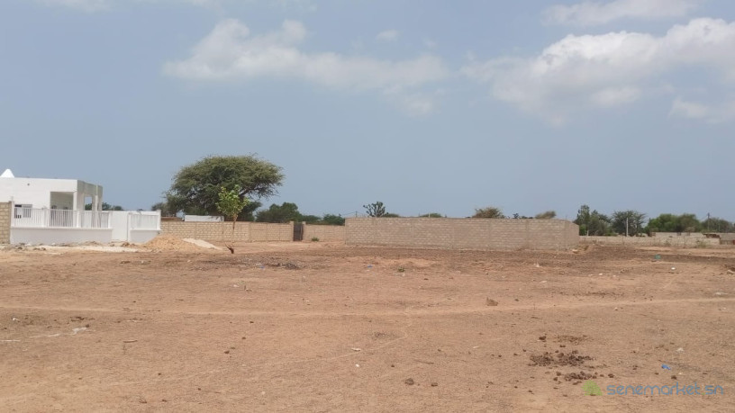 terrain-de-500-metres-carres-a-vendre-a-nguerigne-big-1