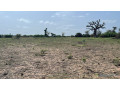 terrains-de-300m2-a-vendre-a-somone-sn-small-2