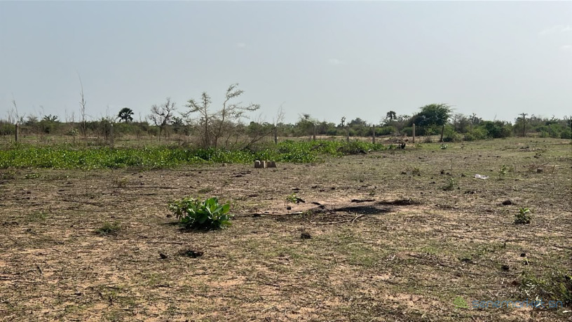terrains-de-300m2-a-vendre-a-somone-sn-big-0