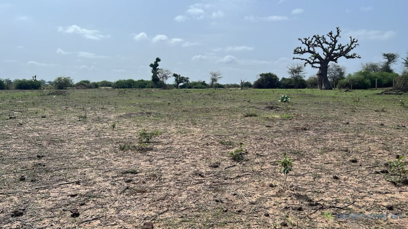 terrains-de-300m2-a-vendre-a-somone-sn-big-2