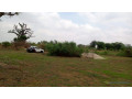 terrain-de-1200-metres-carres-a-mbour-senegal-small-0